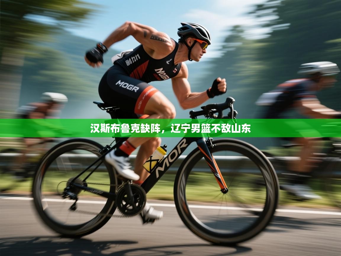 汉斯布鲁克缺阵，辽宁男篮不敌山东  第2张