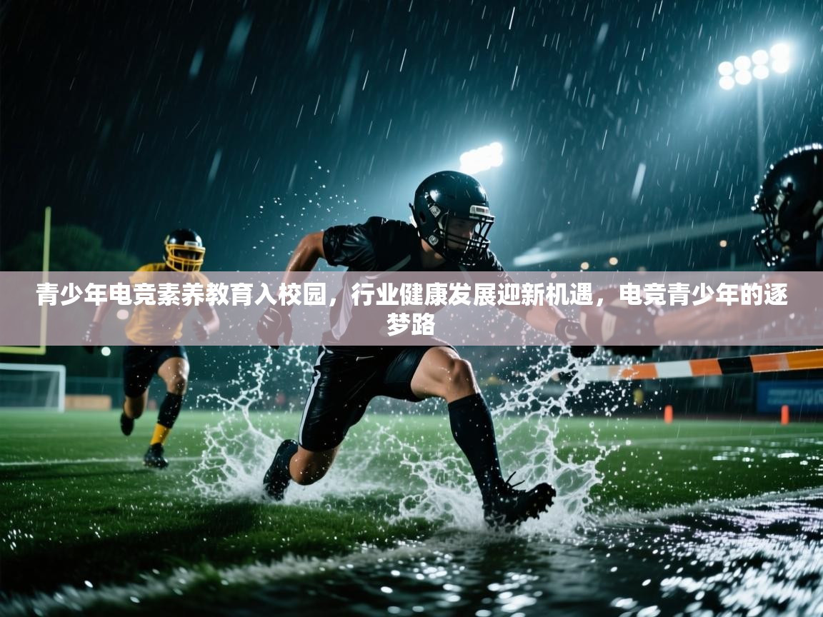 青少年电竞素养教育入校园,行业健康发展迎新机遇,电竞青少年的逐梦路 第2张