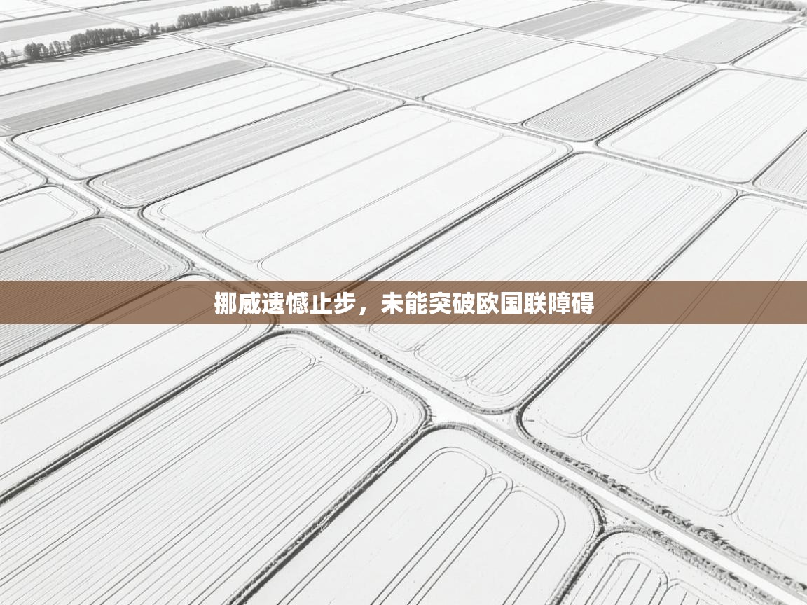 挪威遗憾止步,未能突破欧国联障碍 第1张