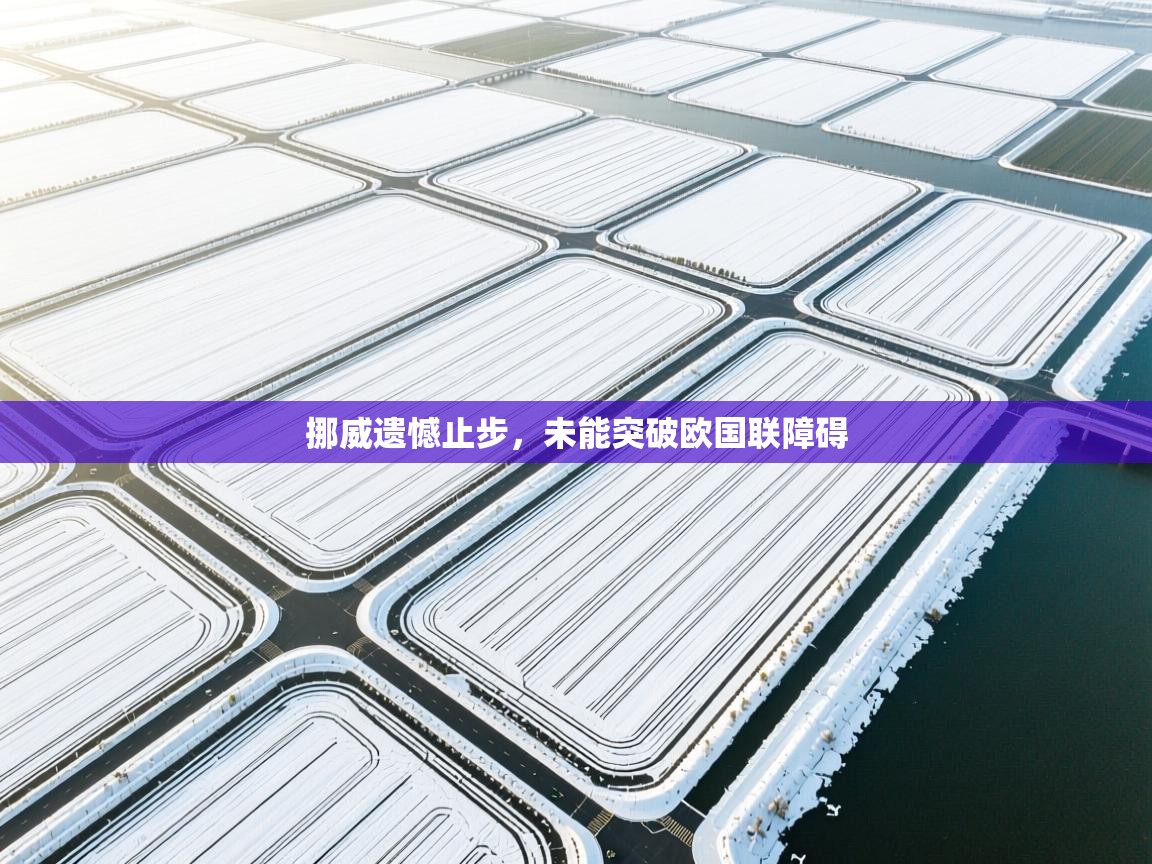 挪威遗憾止步,未能突破欧国联障碍 第2张